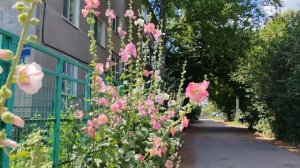 Жизнь в деревне, иду по деревне