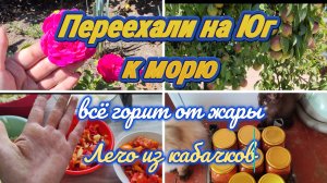 ПЕРЕЕХАЛИ НА ЮГ К МОРЮ, ВСЁ ГОРИТ ОТ ЖАРЫ, ДЕЛАЮ ЛЕЧО