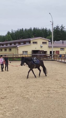 Даша с Ульяной разминают Наоми в новом месте, выездные старты понистар.
