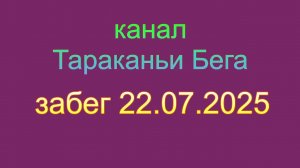 забег  22.07.2025