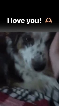 1000065317.mp4