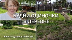 БУДНИ ОДИНОЧКИ В ДЕРЕВНЕ _ ЖИЗНЬ В ДЕРЕВНЕ 20.07.25г
