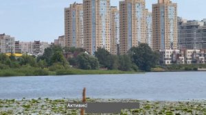 Суздальские озёра в Выборгском районе — зона экологического беспокойства?