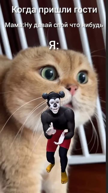 Когда пришли гости #ттврек #ттпропустивреки #ттпустиврек #shorts #tik_tok #tik #tiktokindia #tik смотреть онлайн