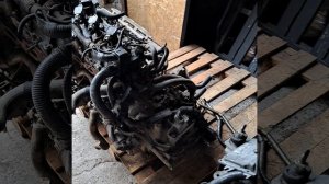 1000279760.mp4 t31 двс 2.5