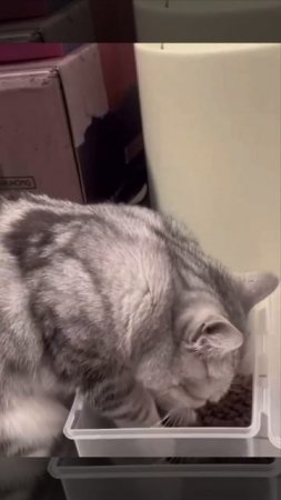 1000255896.mp4