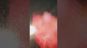 Собираем чемоданы в Котейкино Поле! Опасный вирус?..