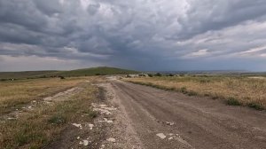 Лошадки