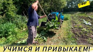 Жизнь и будни в Омской деревне.