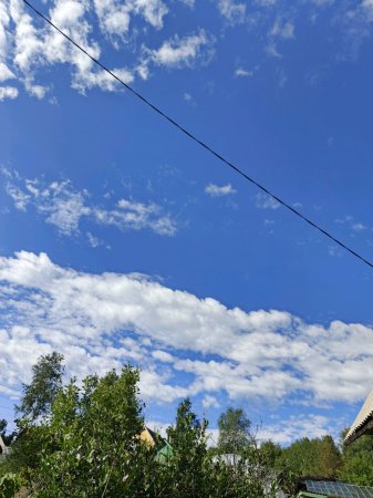 гуляем с собакой и катаемся на вело