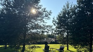 Участок Сярьги 10 соток. Вокруг все уже построились, все соседи ниже. На авито есть, легко найти.