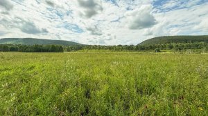 Видео-обзор участка Шелеховский р-н 7,8 га