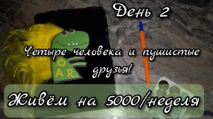 5000 рублей на неделю: Четыре человека и пушистые друзья//день2