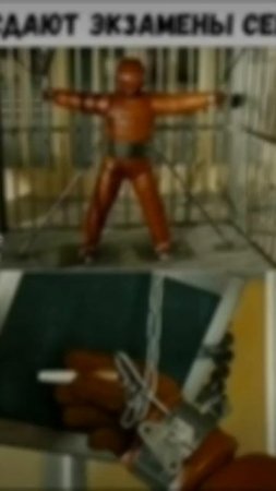 scene_output.mp4