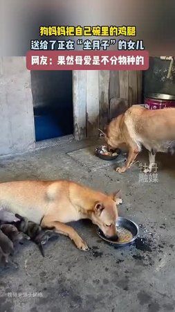 Подпишись 👉 https://vk.com/ykrasheniy_iz_kamny