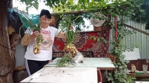 ФУ КАКАЯ ГАДОСТЬ-ЗАТО ПОЛЕЗНАЯ, СБОР УРОЖАЯ, ПОВСЕДНЕВНАЯ СЕЛЬСКАЯ ЖИЗНЬ