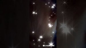 сборник видео с кешой
