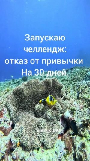 Присоединяйтесь❤️подписывайтесь на тг для обмена впечатлениями❤️