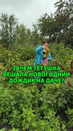 Зачем тётушка вешала новогодний дождик на даче