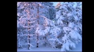 МЕЛЬНИКОВА ИРИНА - ЗИМНИЙ СОН