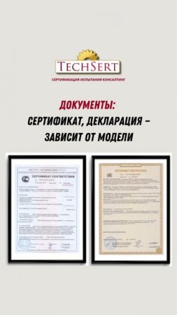 📄 Какие документы нужны на блендер?