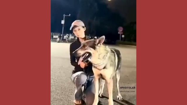 любимим девочкам