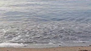 Утренняя медитация на берегу Средиземного моря. Турция.