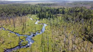 РЫБАЛКА В МЕДВЕЖЬЕМ УГЛУ. РЫБАЛКА С ЛОДКИ НА СПИННИНГ. РЫБАЛКА НА УДОЧКУ. СУПЕР КОМПЛЕКТ ДЛЯ РЫБАЛКИ