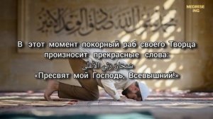 Слова покорности, когда душа отдыхает в суджуде...