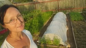 Видо привет с 6 соток 20 июля 2025 года