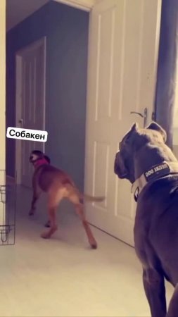 Подпишись 👉 https://vk.com/ykrasheniy_iz_kamny