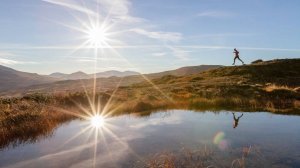 АЛЬФА-ЦЕНТАВРА. О представителях инопланетной цивилизации, которые часто стали воплощаться на Земле