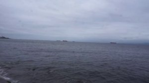 Встреча с Хакко.