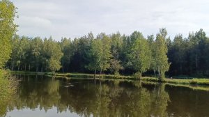 Погода Петербург . 22.07.2025 . 09:15 . +22° .