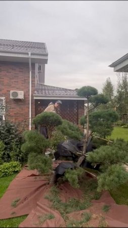 Благоустройство
и расчистка участков в Москве и МО