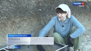 Античные сокровища: что нашли археологи во время экспедиции в Крыму