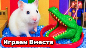 ЛАБИРИНТ С ЛОВУШКАМИ И МОНСТРАМИ ДЛЯ УМНОГО ХОМЯКА 🐹 ВЫБИРАЕМСЯ ВМЕСТЕ ИЗ БОЛЬШОГО ЛАБИРИНТА
