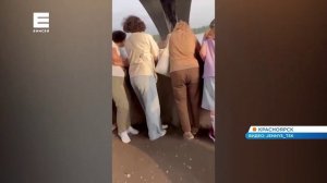 В Красноярске на набережной прошла спасательная операция утят