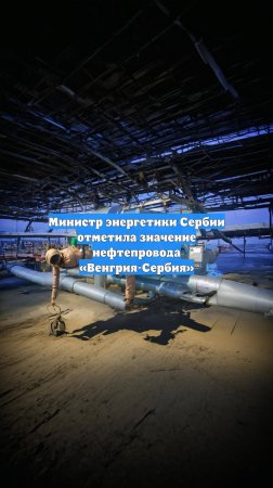 Министр энергетики Сербии отметила значение нефтепровода «Венгрия-Сербия»