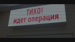 "САШЕНЬКА" 2017г.