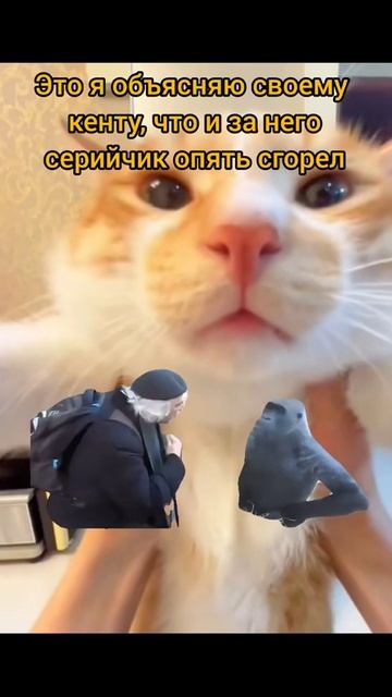 серийчик опять сгорел из за друга #отмечайбро #отмечайдруга #youtubeshorts #shorts #tik #tiktokindia смотреть онлайн