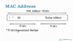 03. 10base2, MAC addresses,