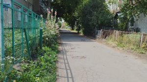 Мальвы расцвели, деревня перед дождем