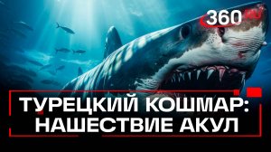 Акулы заполонили турецкие Анталию, Мармарис, Бодрум и даже Стамбул