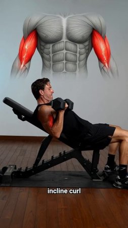 Exercises to grow your biceps 💪