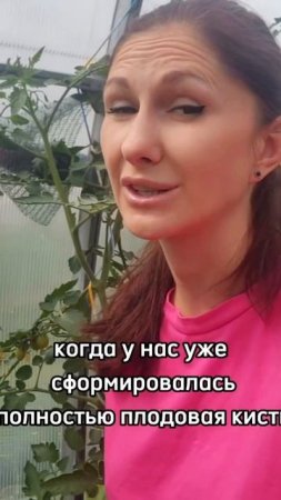 Совет по удалению листьев у томатов