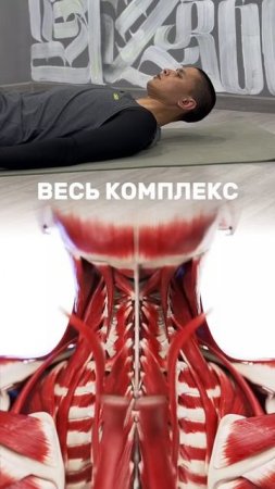 https://t.me/fitstyler_bot?start=vksheya