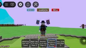 за енота или кисюнэ дам БОЛЬШОЙ БУРНИНГ БУД