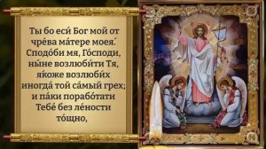 22 июля УСПЕЙ ПРОЧЕСТЬ ЭТУ МОЛИТВУ, ОБРЕТЕШЬ УСПЕХ И УДАЧУ! Молитва на удачу. Православие. ☘️🌹