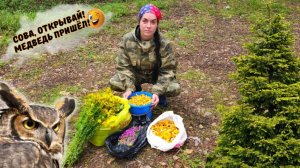 БEЛЫE РOCЫ. СЧАСТЛИВЫ B ПOЛЕCСКOM ЛECУ!...